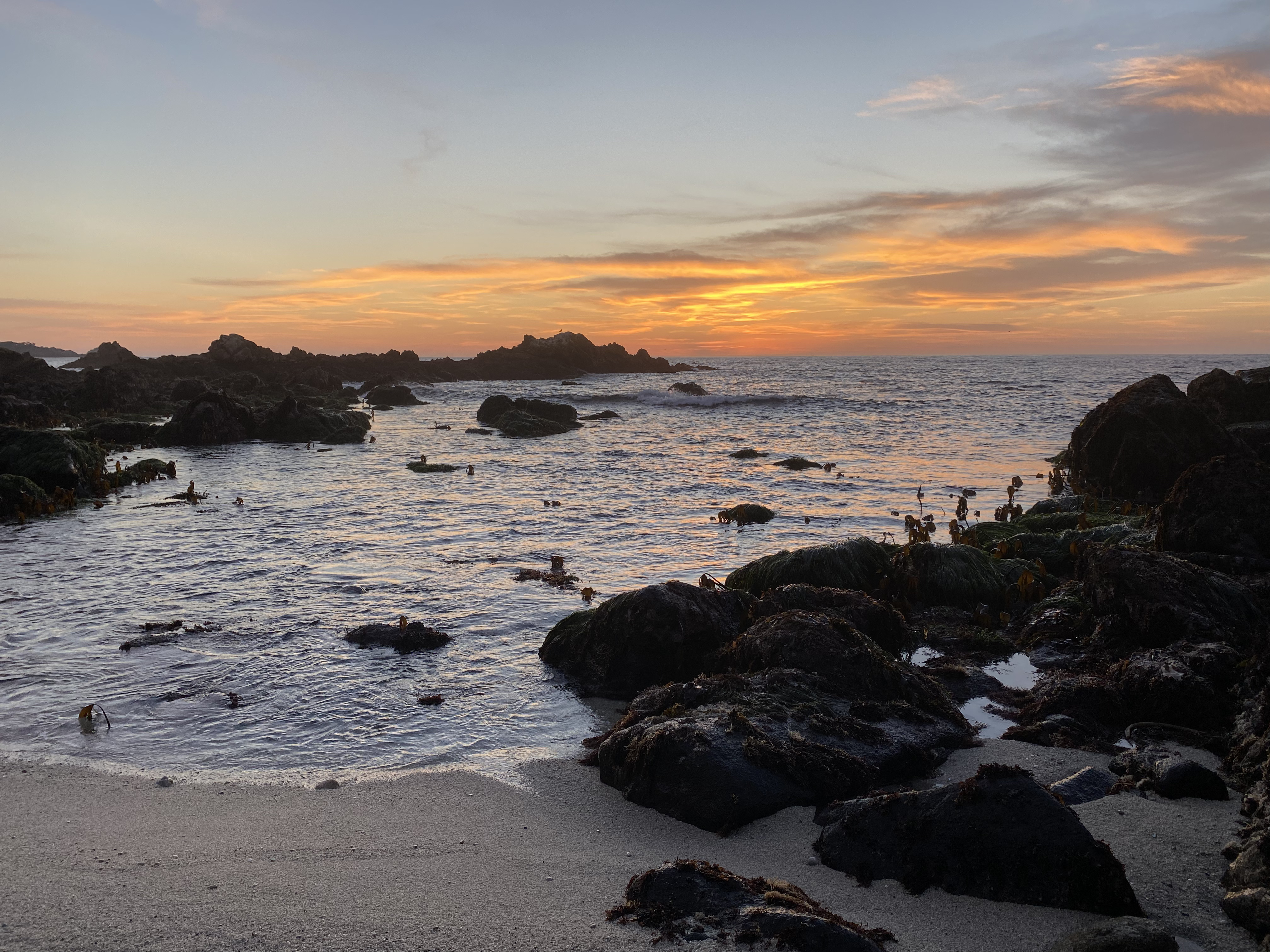 Carmel State Beach backdrop