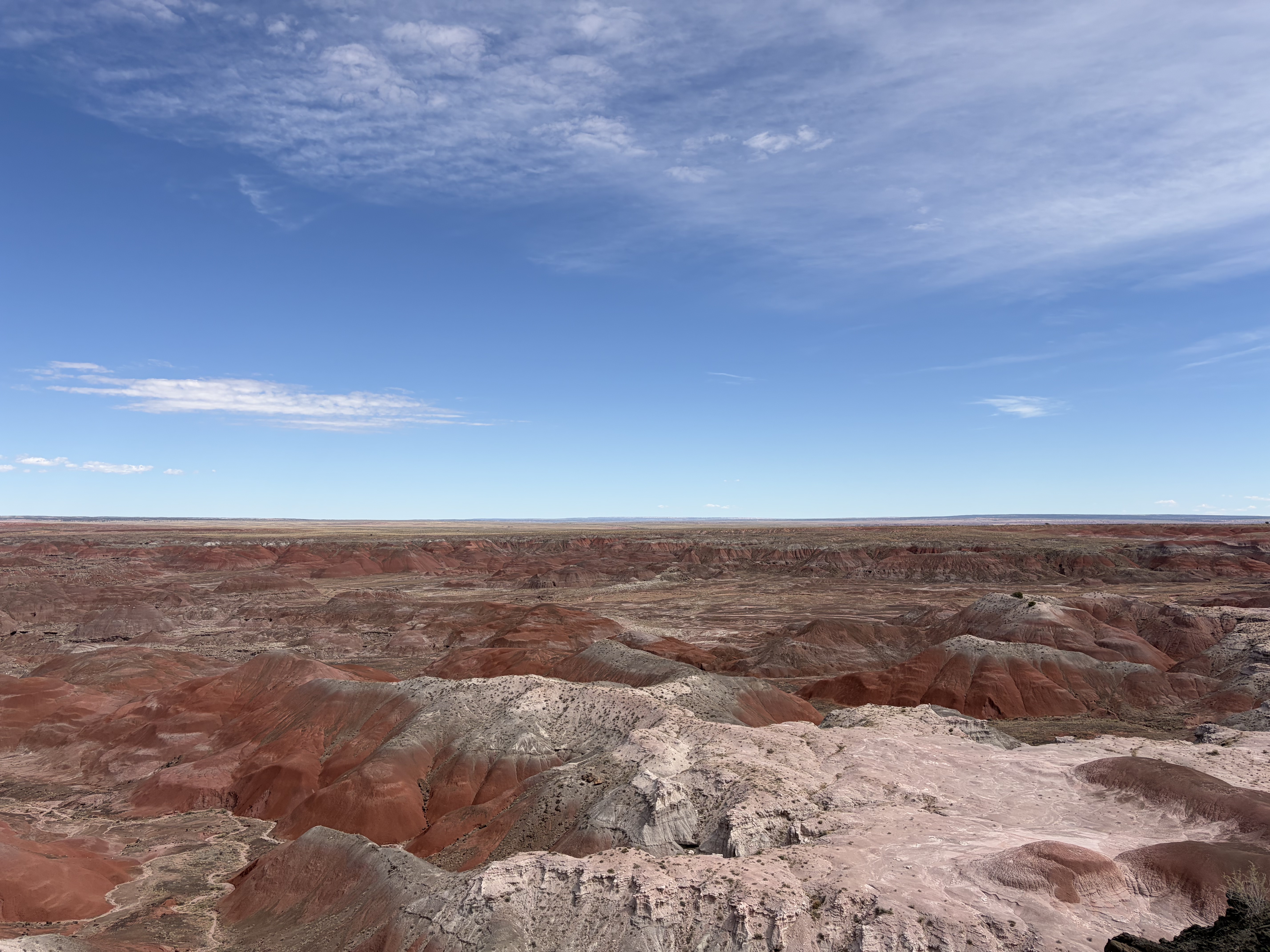 Petrified Forest Natl. Park backdrop
