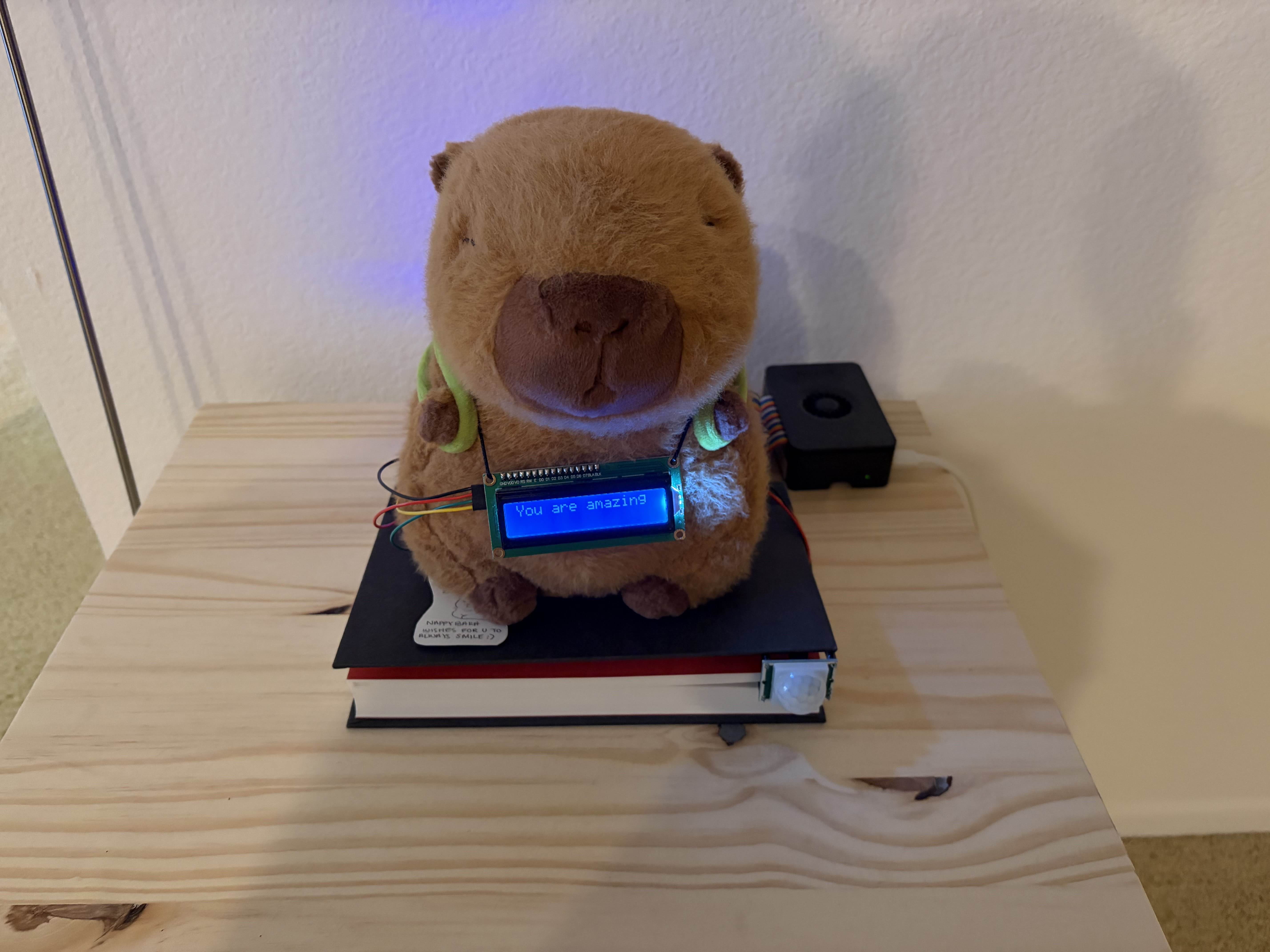 Capybara Messages