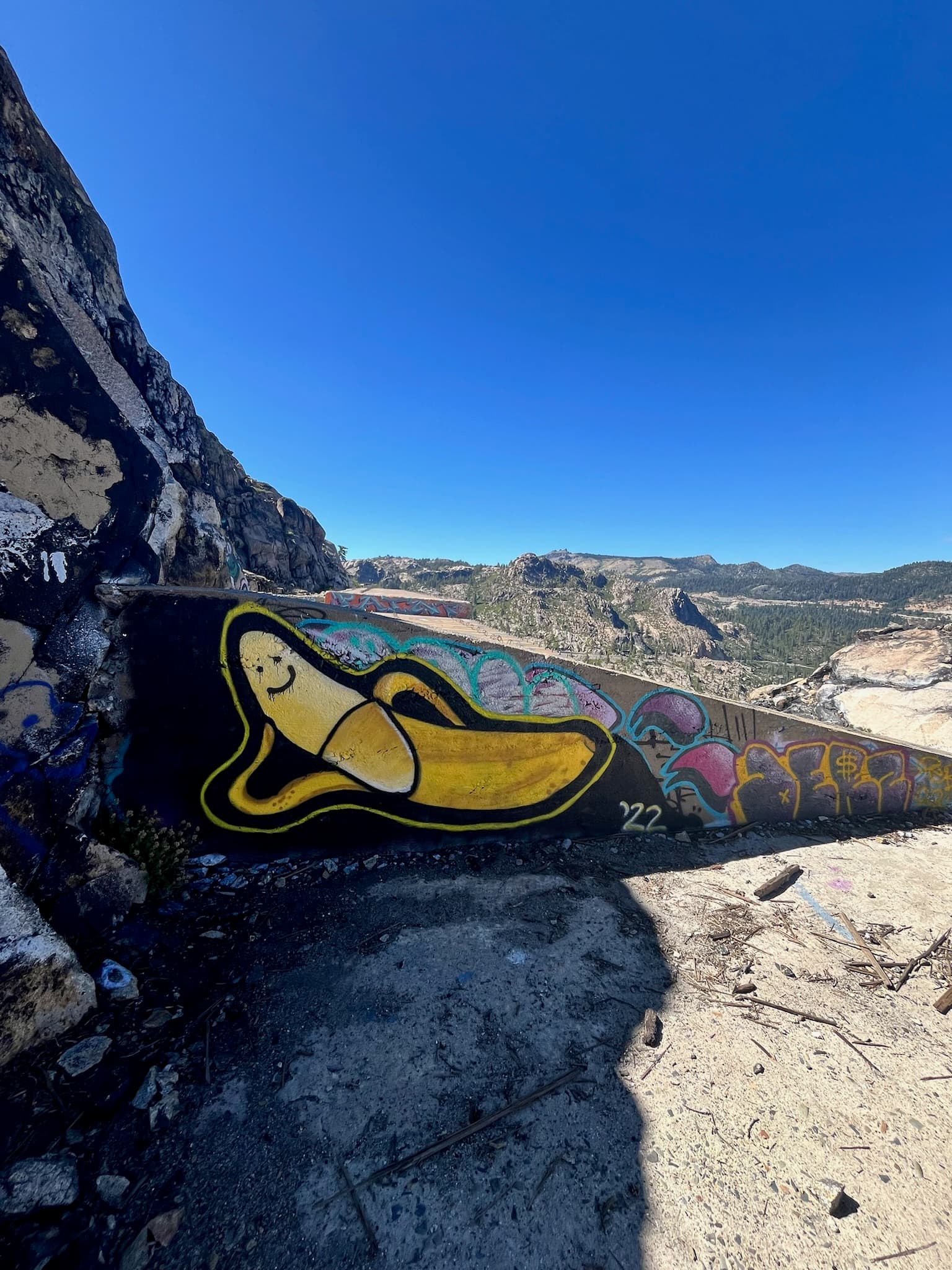 Donner Pass Tunnels backdrop